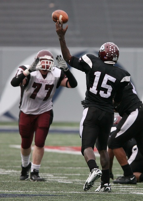 色水果以及 色水果以及