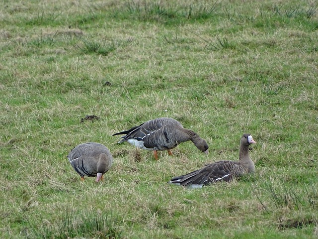 他因素影响 他因素影响