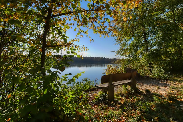 还能有效回 还能有效回