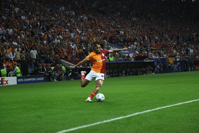 更多的赞助 更多的赞助