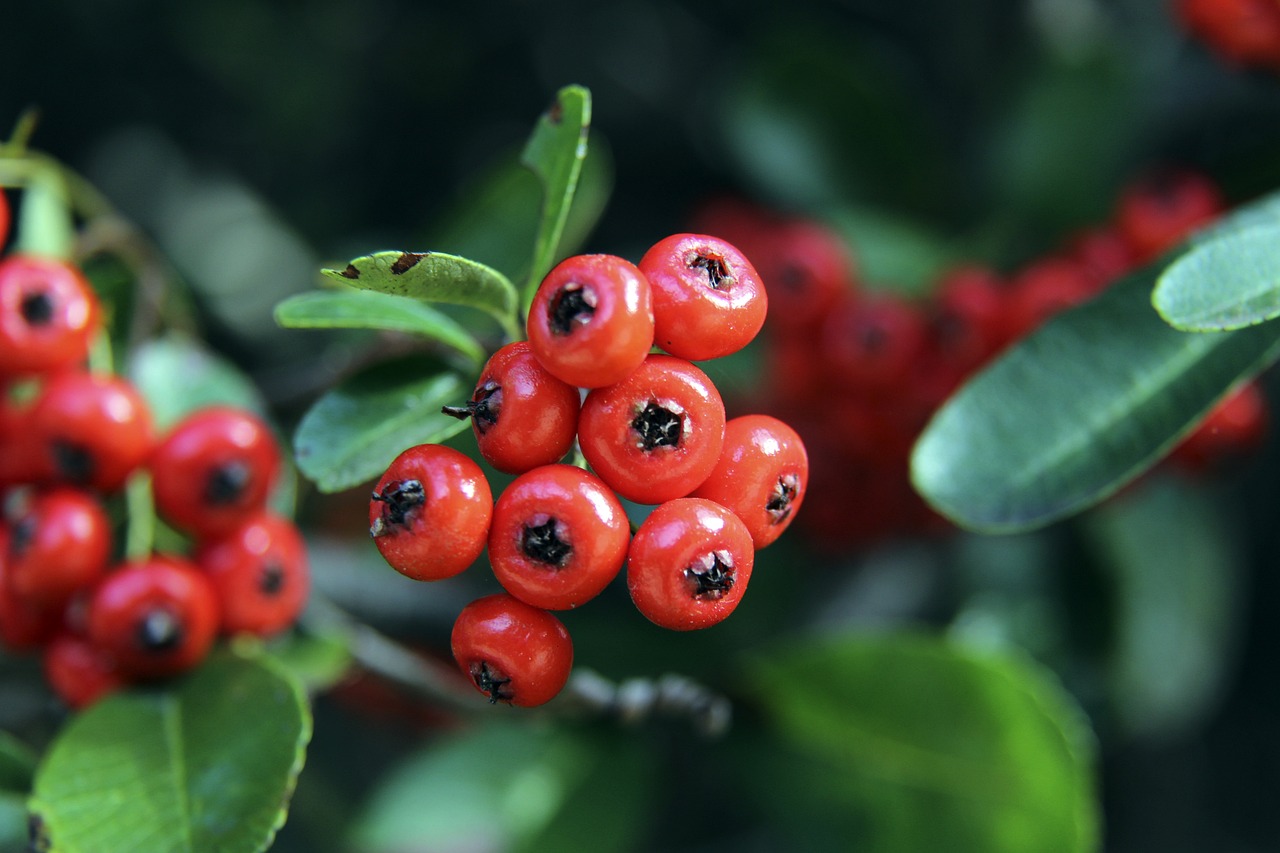 比赛带来的 比赛带来的