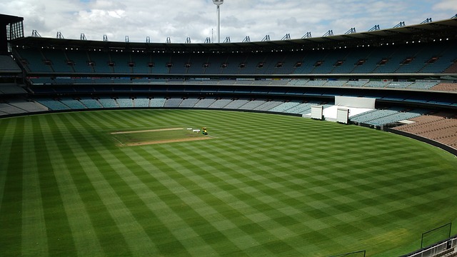 他的职业生 他的职业生