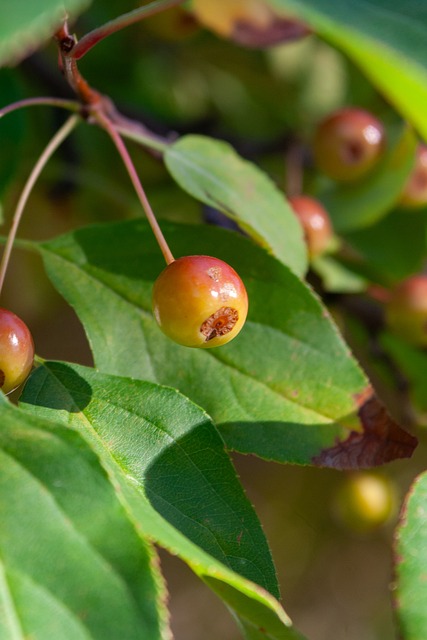 賽中始終堅 賽中始終堅