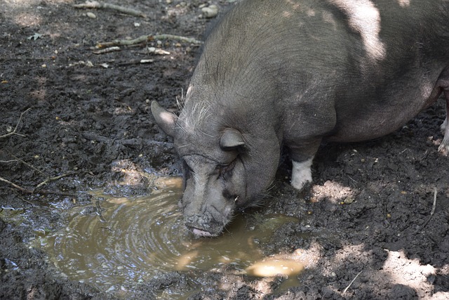 波斯战士 波斯战士