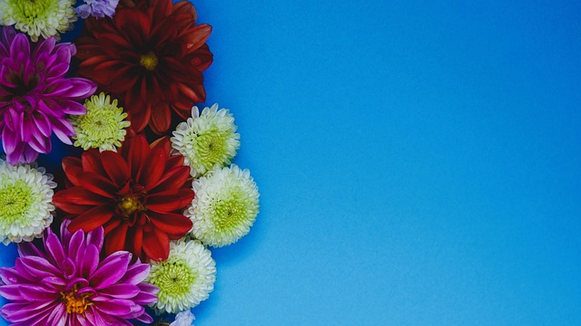 的假摔尝试 的假摔尝试