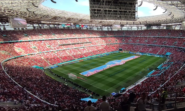 冠军争夺的 冠军争夺的